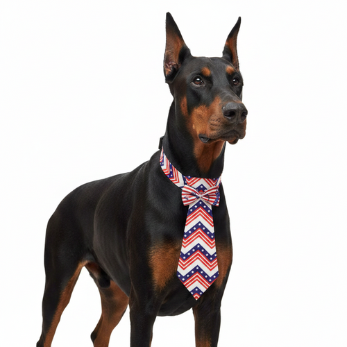 4th of July Adjustable Pet Tie