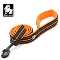 Truelove Reflective Dog Leash
