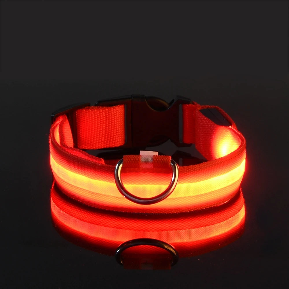 LED Glow in the Dark Dog Collar
