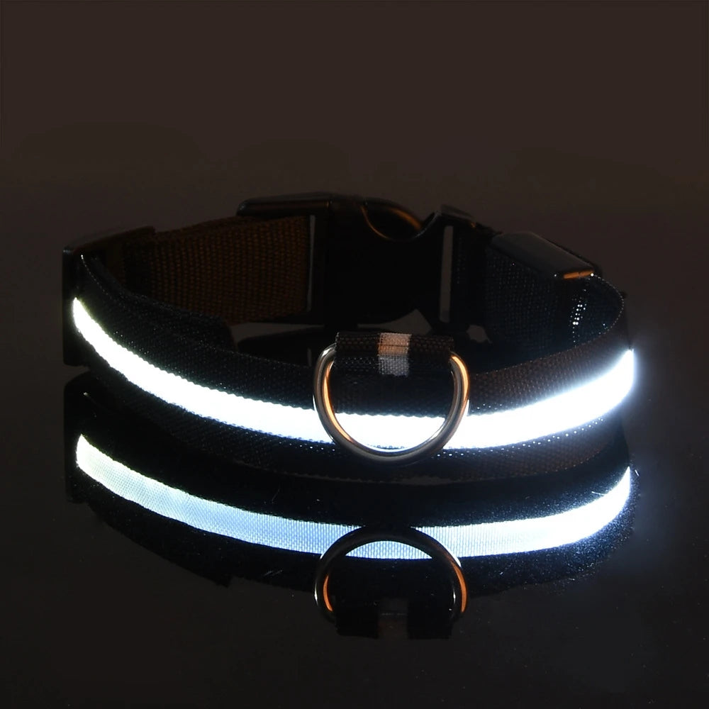 LED Glow in the Dark Dog Collar
