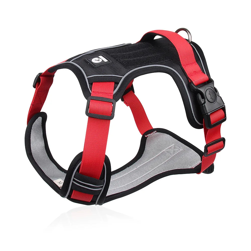Dog Harness & Optional Leash Set