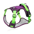 Dog Harness & Optional Leash Set