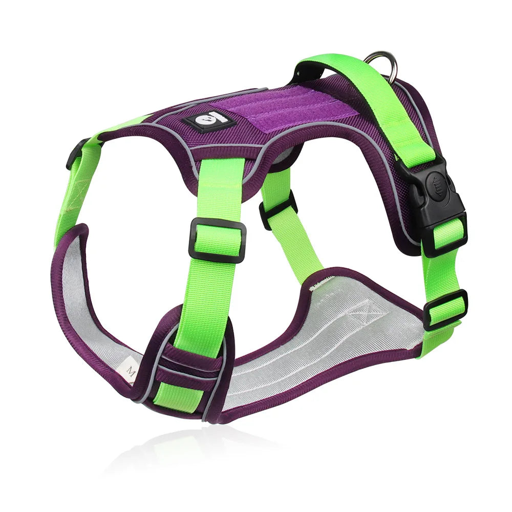 Dog Harness & Optional Leash Set
