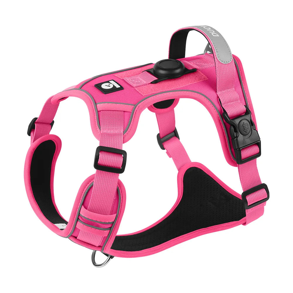 Dog Harness & Optional Leash Set
