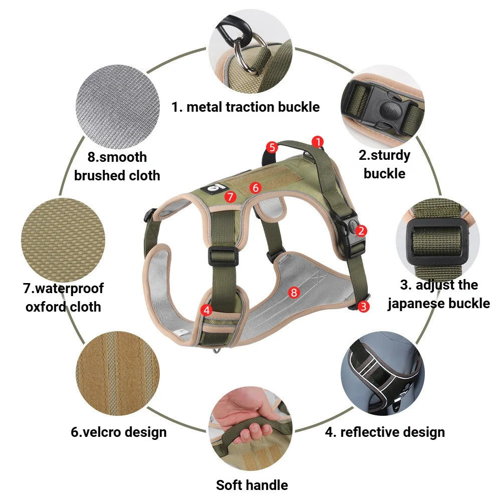 Dog Harness & Optional Leash Set
