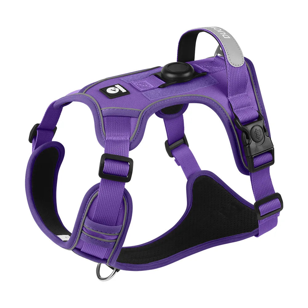 Dog Harness & Optional Leash Set