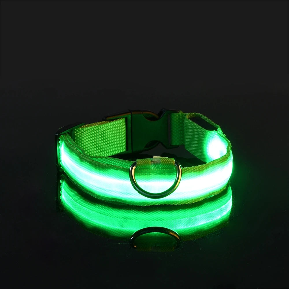 LED Glow in the Dark Dog Collar