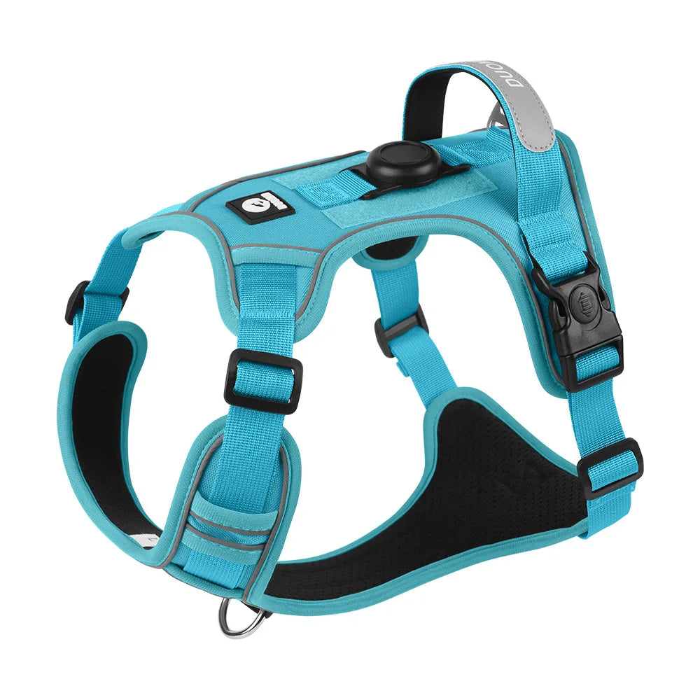 Dog Harness & Optional Leash Set