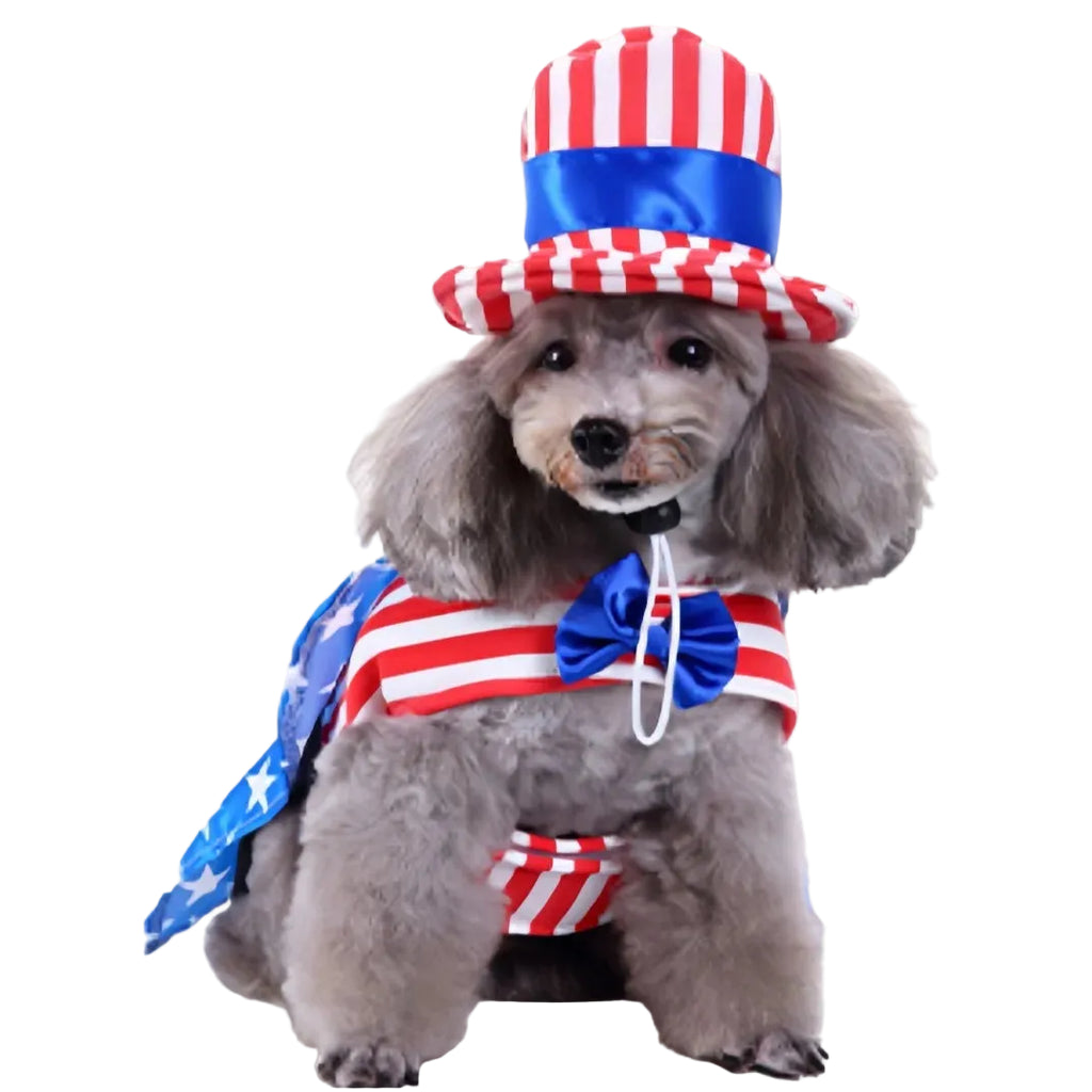 4th of July Funny Patriotic Pet Costume