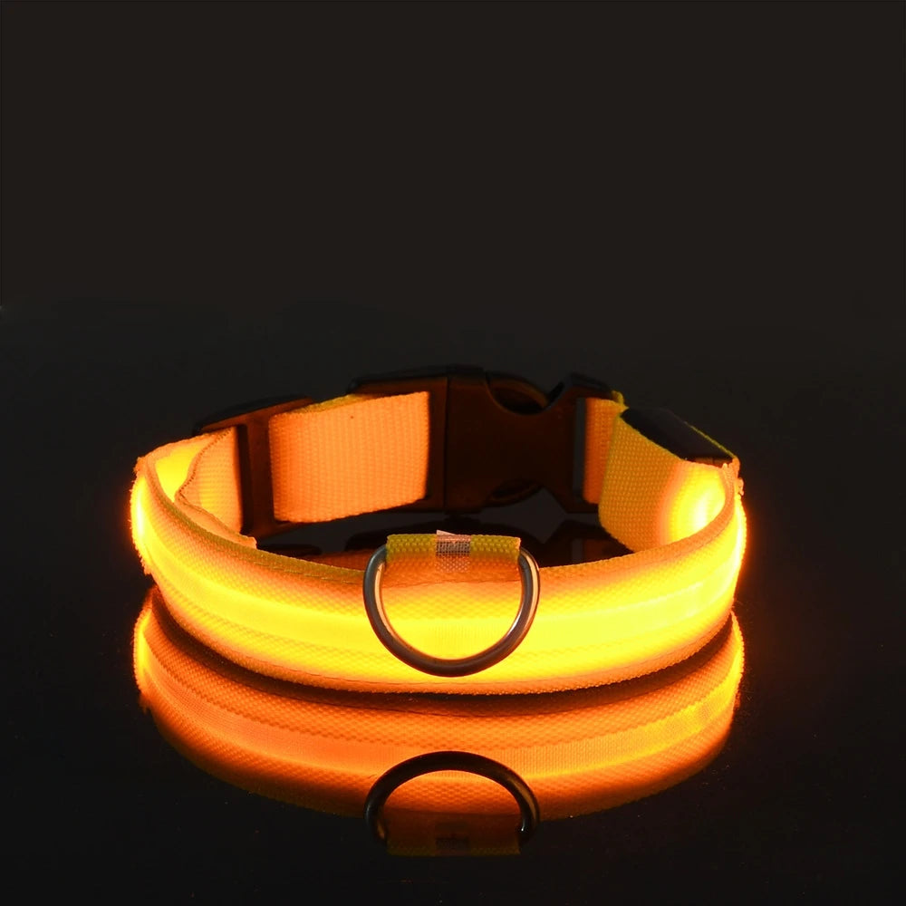 LED Glow in the Dark Dog Collar