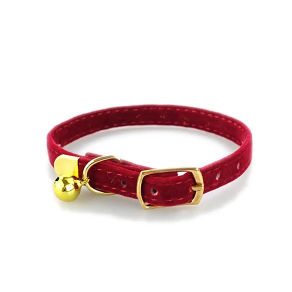 Flocked Pet Collar with Optional Bell