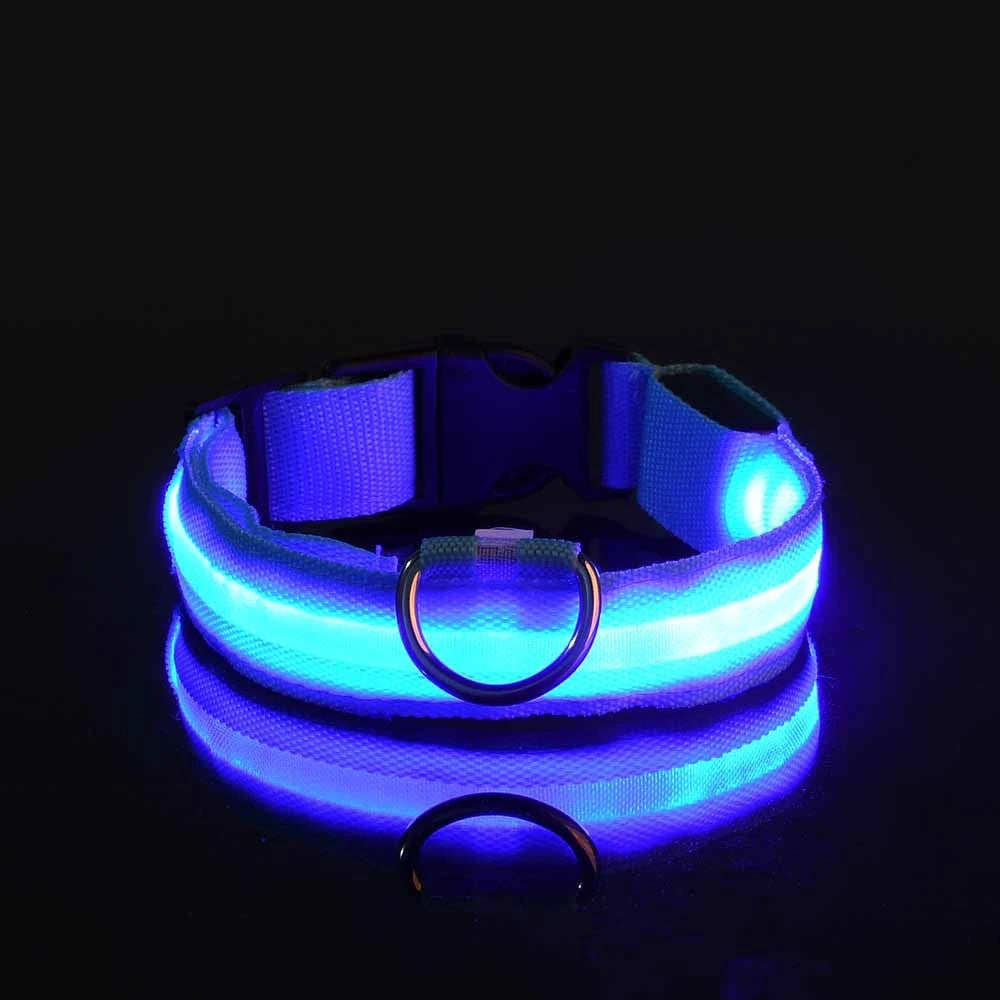 LED Glow in the Dark Dog Collar