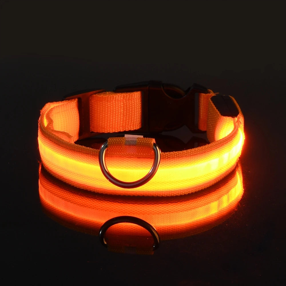LED Glow in the Dark Dog Collar