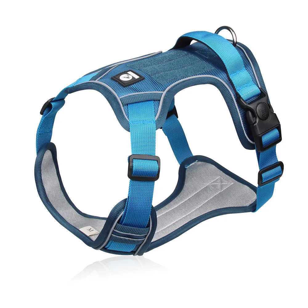 Dog Harness & Optional Leash Set