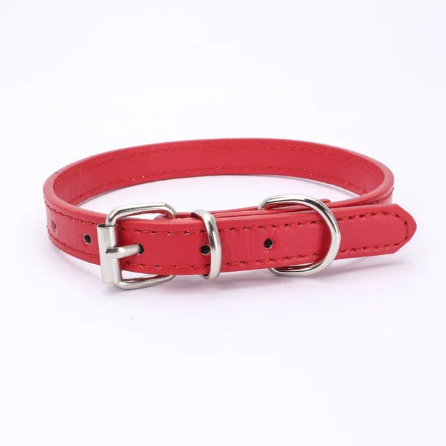 Alloy Buckle Collar