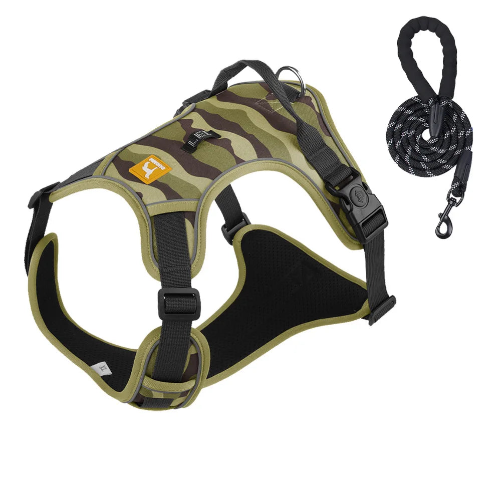 Dog Harness & Optional Leash Set