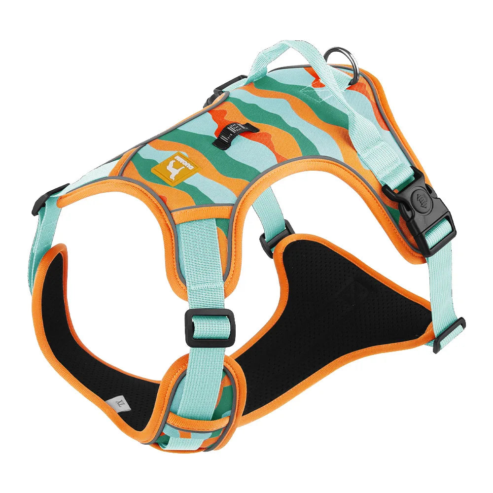 Dog Harness & Optional Leash Set