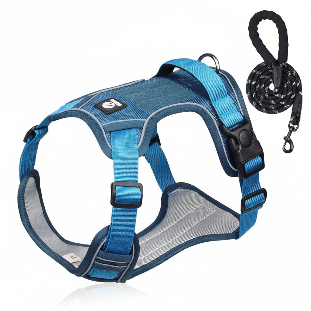 Dog Harness & Optional Leash Set