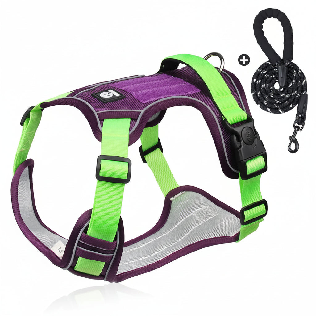 Dog Harness & Optional Leash Set