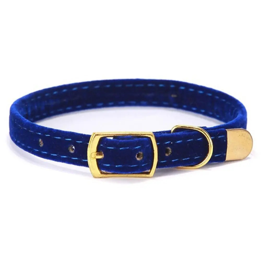 Flocked Pet Collar with Optional Bell