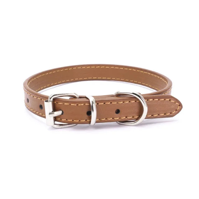Alloy Buckle Collar