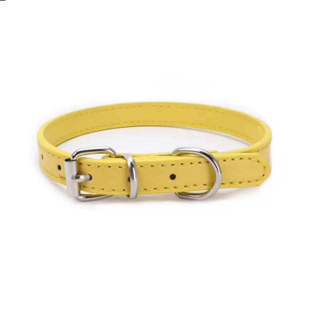 Alloy Buckle Collar