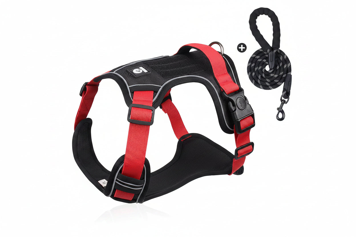 Dog Harness & Optional Leash Set