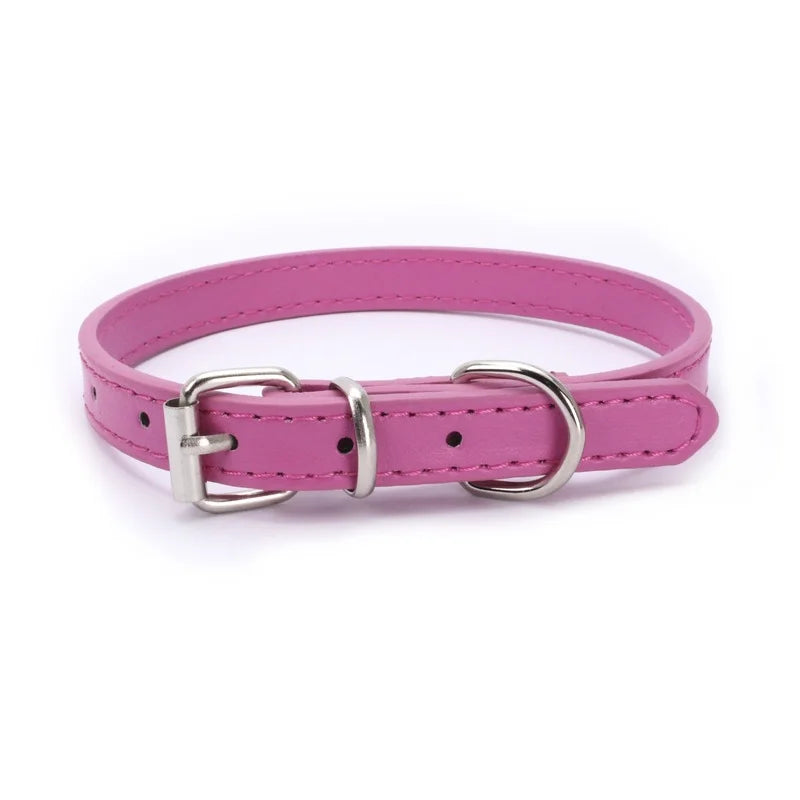 Alloy Buckle Collar