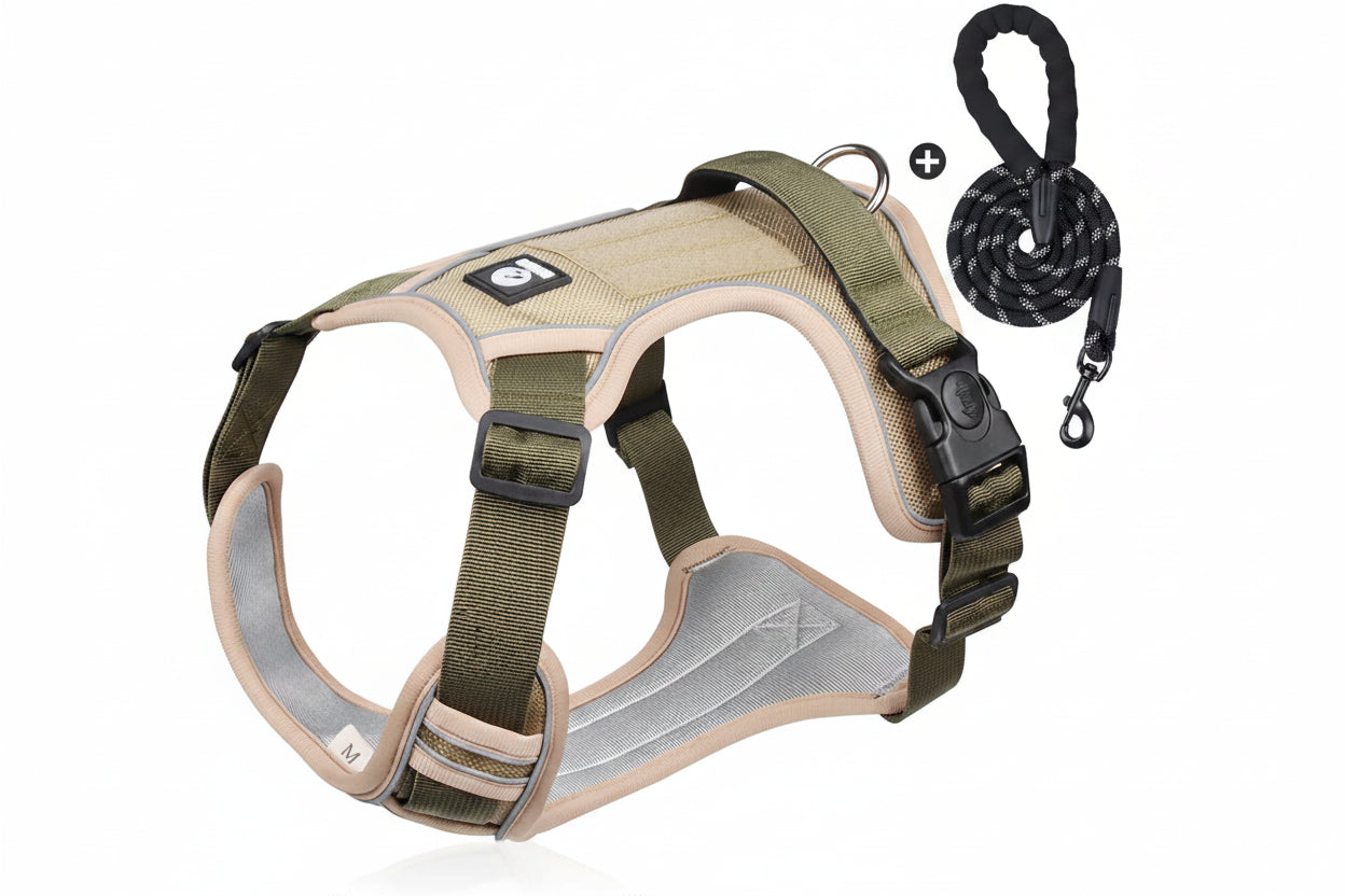 Dog Harness & Optional Leash Set