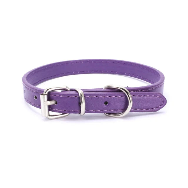 Alloy Buckle Collar