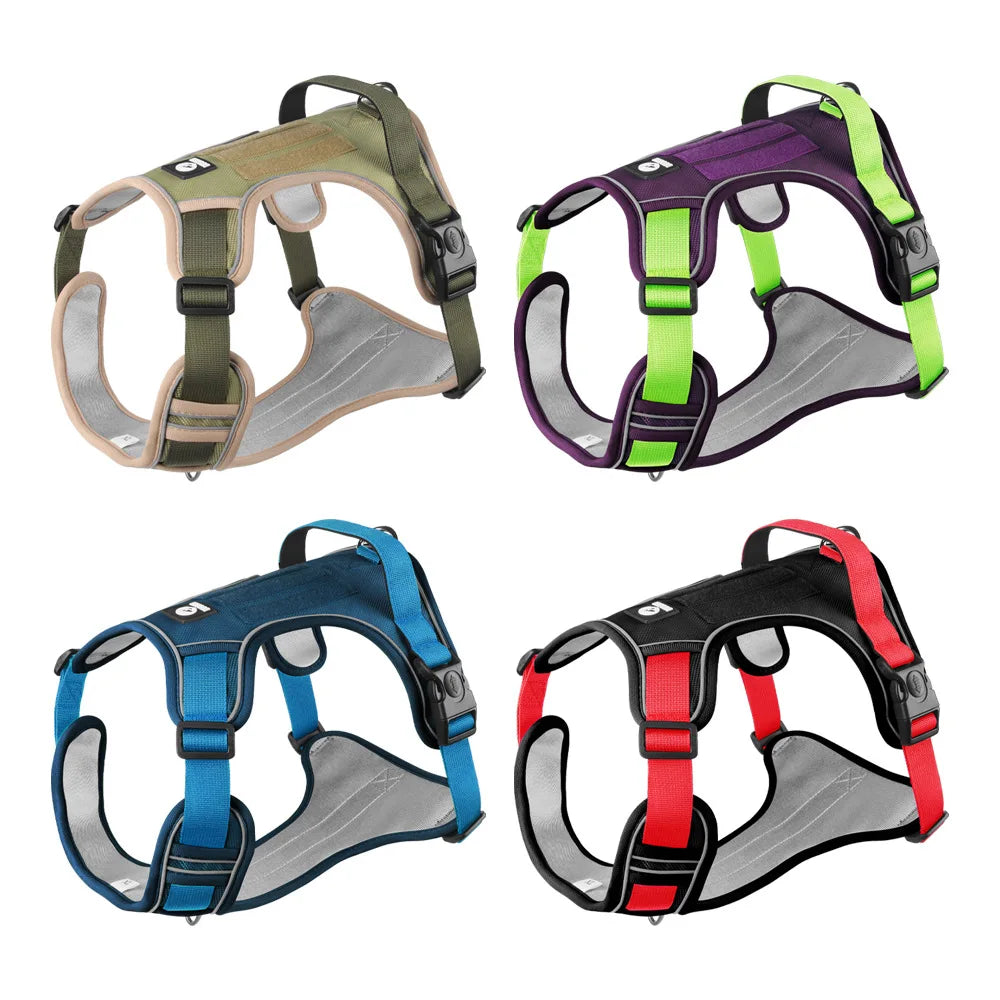Dog Harness & Optional Leash Set