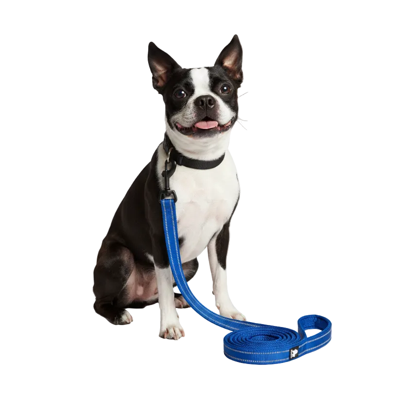 Truelove Reflective Dog Leash
