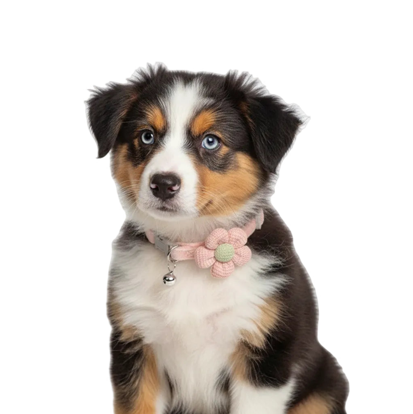 Flower Bell Collar
