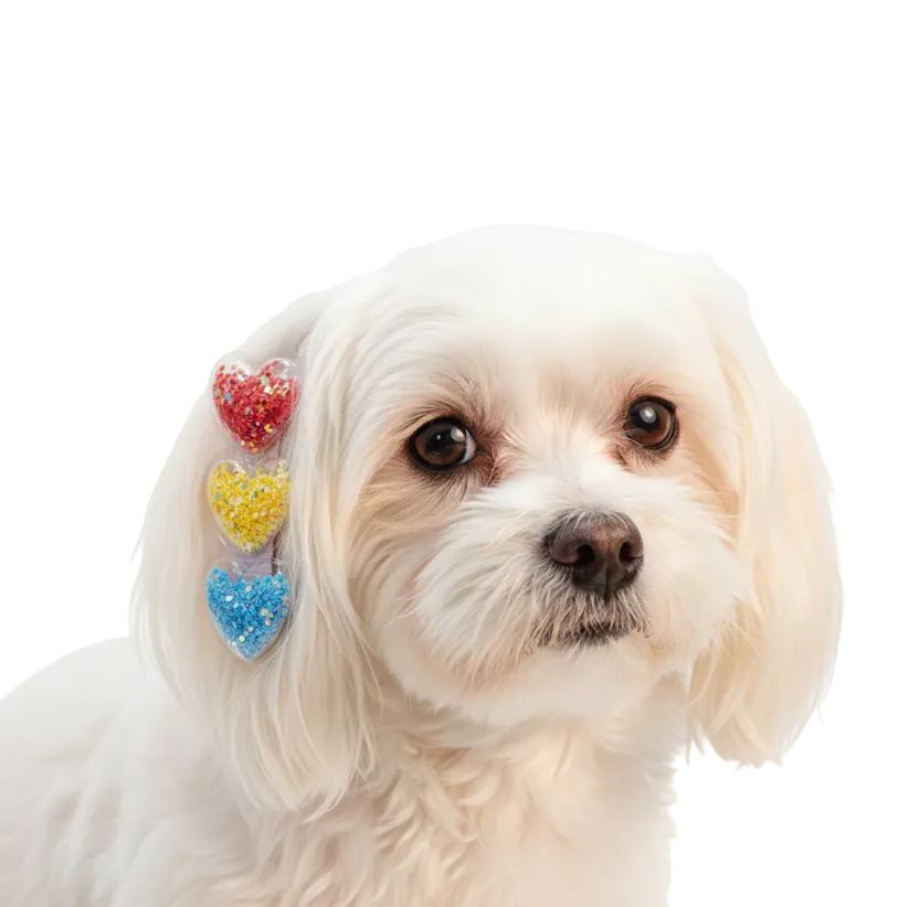 Glitter Heart Pet Hair Clips