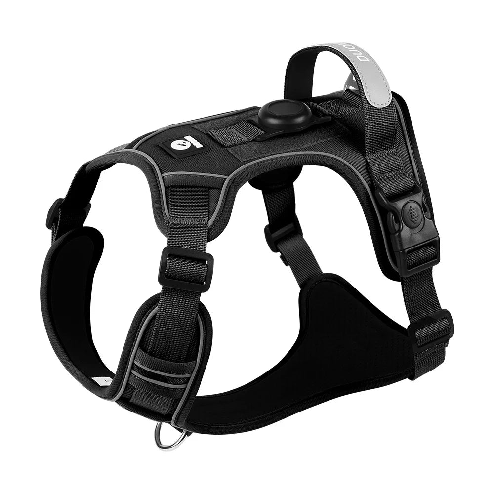 Dog Harness & Optional Leash Set