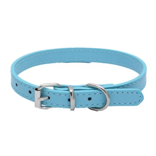 Alloy Buckle Collar