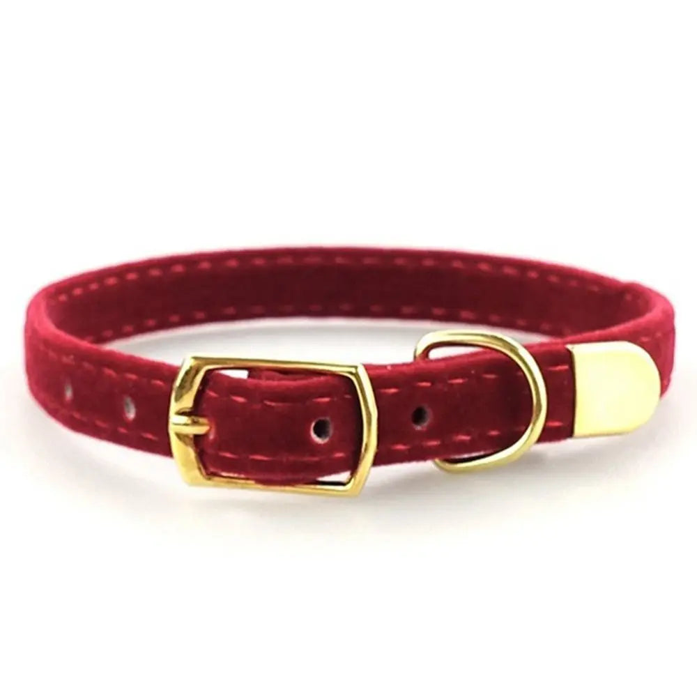 Flocked Pet Collar with Optional Bell
