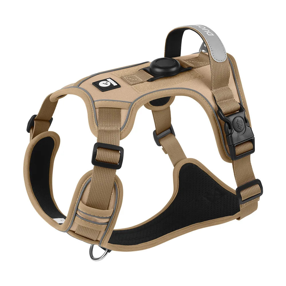 Dog Harness & Optional Leash Set