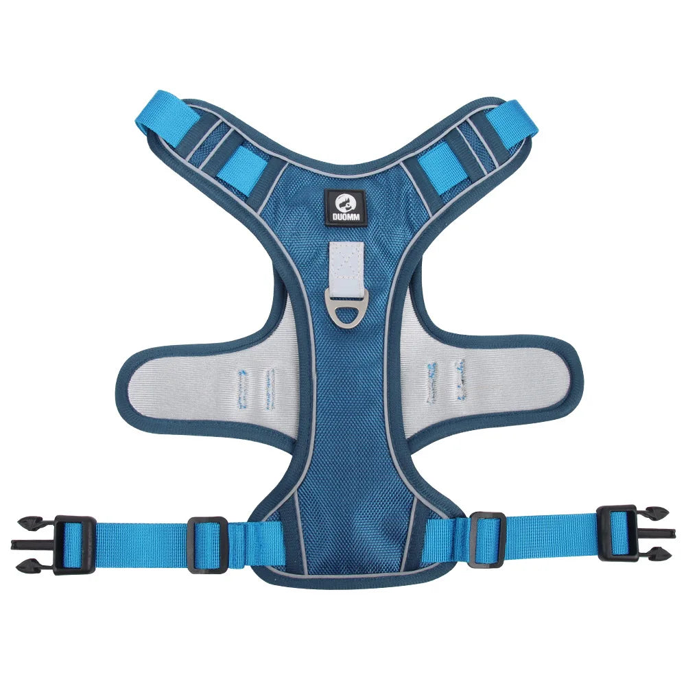 Dog Harness & Optional Leash Set