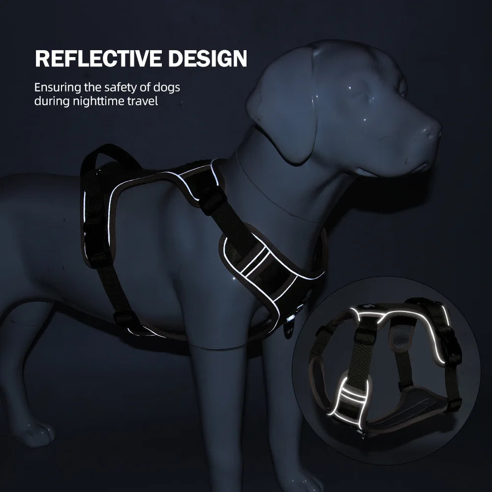 Dog Harness & Optional Leash Set