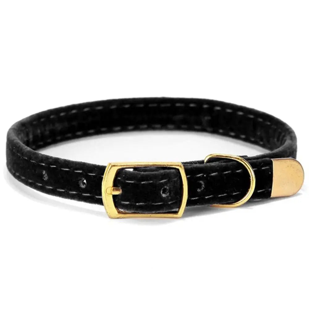 Flocked Pet Collar with Optional Bell
